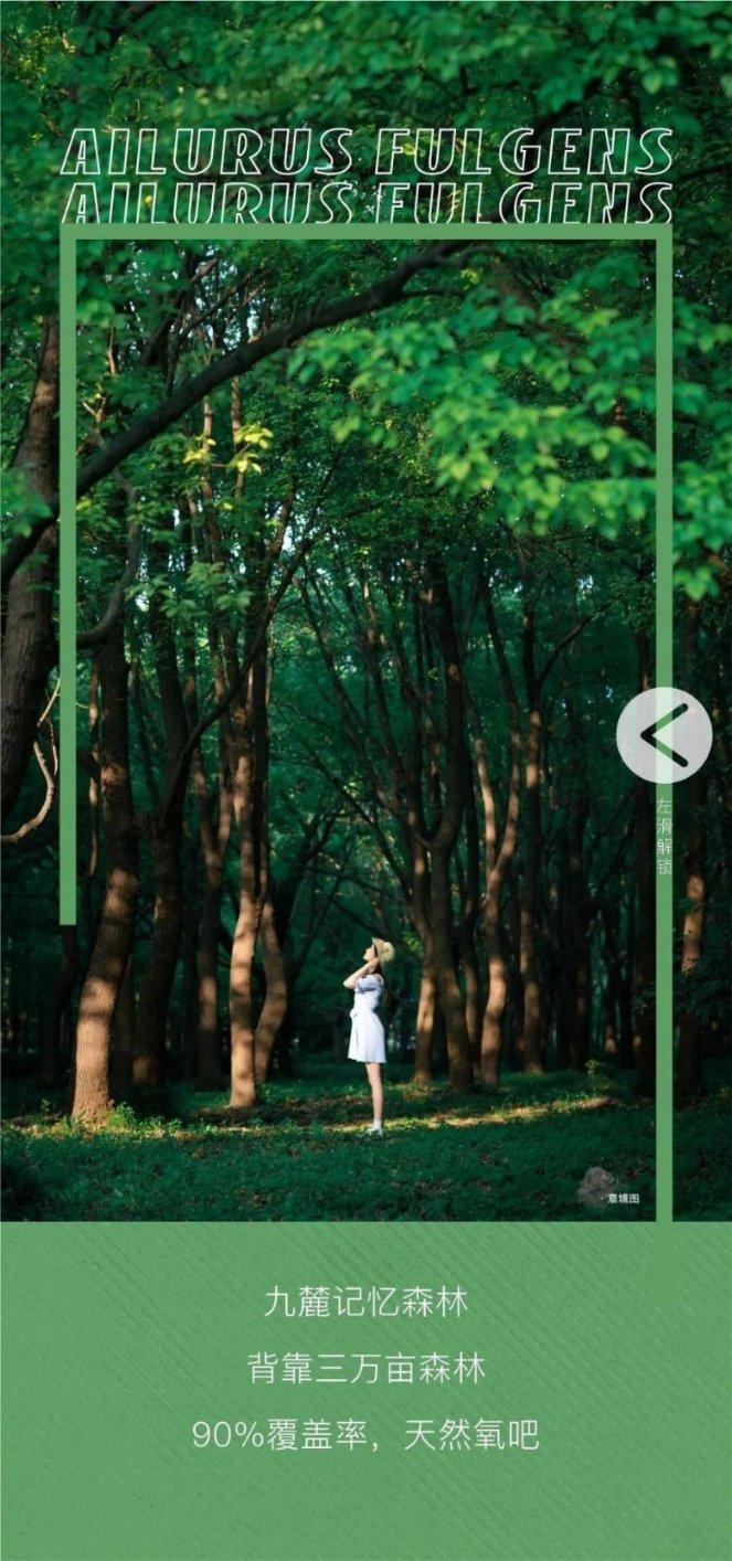 一顿浪漫晚餐